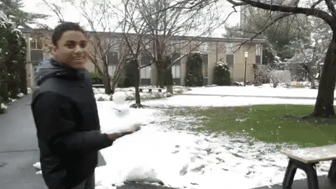 nicholasgrayson giphyupload GIF