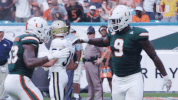 college football GIF by Miami Hurricanes