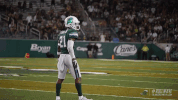 lewis jr football GIF by GreenWave