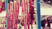 yachtsailing  GIF