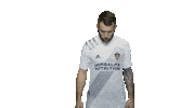 Los Angeles Football Sticker by LA Galaxy