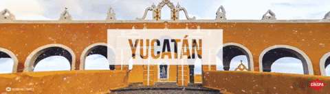 miguelgarca934b giphygifmaker GIF