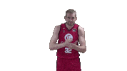 Liga Endesa Basketball Sticker by ACB