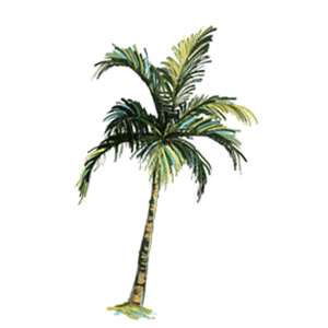 los angeles california Sticker by Fabletics