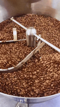 Coffee Beans GIF by Berk's Beans Coffee