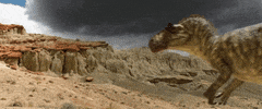 GIF by Gunpowder & Sky