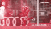 excited champions league GIF by FC Bayern Munich