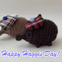 Scotland Scottish GIF by TeaCosyFolk