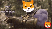 Shib Coin GIF by SHIB MEMES