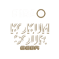 Bira91Beers Sticker by Bira 91