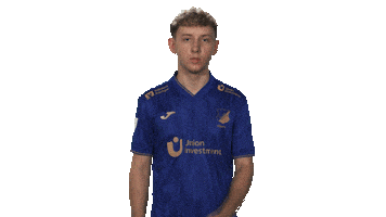 Tsg Hoffenheim Vbl Sticker by Bundesliga
