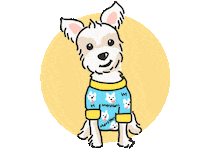 Morkie Sticker