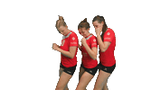 tbasvvolleyball volleyball damen1 regenstauf tbasv Sticker