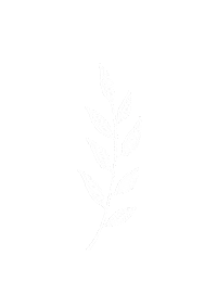 Boho White Leaf Sticker