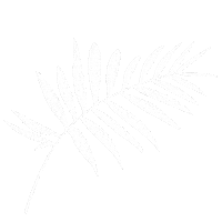 Leaf Leaves Sticker