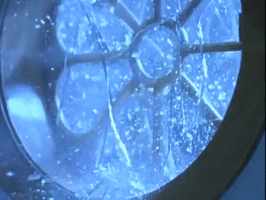 nickrewind nicksplat are you afraid of the dark the tale of the dangerous soup GIF