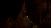 jake gyllenhaal GIF by Maudit