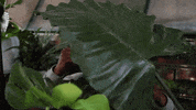 mailchimp hello hi hey welcome GIF