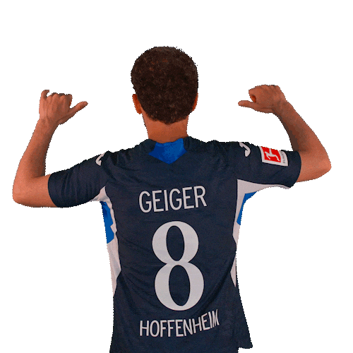 Dennis Geiger Sport Sticker by TSG Hoffenheim