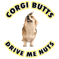 welsh corgi dog Sticker by Zephan