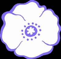 PeacePledgeUnion peace remembrance pacifist remembrance sunday GIF