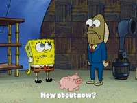 season 4 GIF by SpongeBob SquarePants