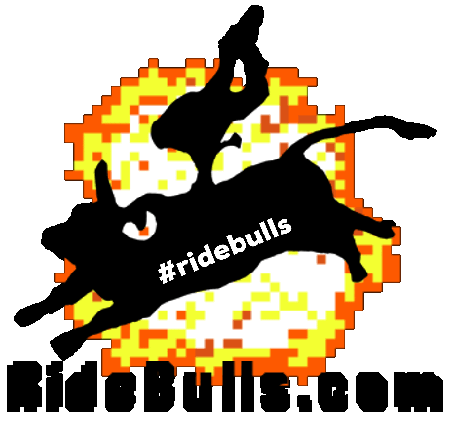Cowboys Bull Rider Sticker by CODE 10-28