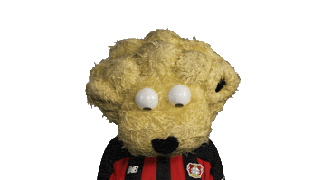 Look Up Bayer 04 Sticker by Bundesliga