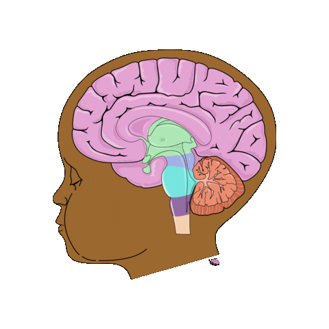 revmed study child medicine neuro Sticker