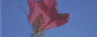 Blossoming What If GIF by Kenzie