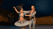 Enblecorsaire GIF by English National Ballet