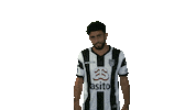 West Side Celebration Sticker by Heracles Almelo