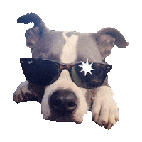 Awesome Dog Sticker by imoji