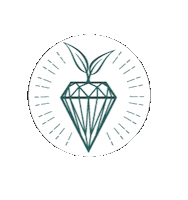 TwentyfourC horse shine diamond treats Sticker