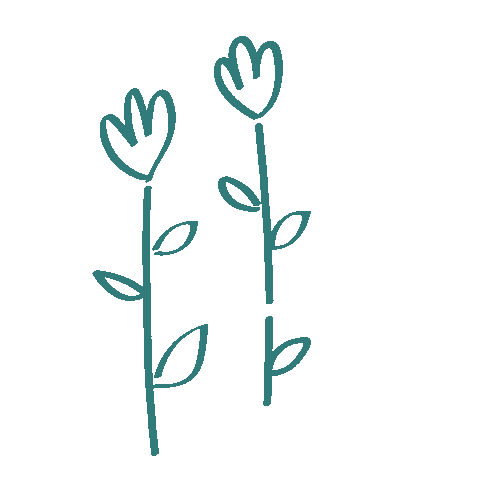 Flowers Fleur Sticker by Pampers Belgium - The Netherlands