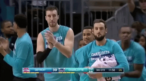 Charlotte Hornets Applause GIF by NBA