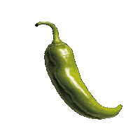 Green Chile Sticker by 505 Southwestern