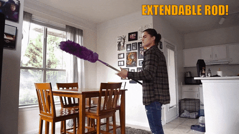 WittyBasket giphyupload GIF