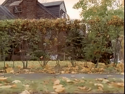 episode 5 specials GIF
