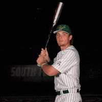 South Florida Celebration GIF by USF Athletics