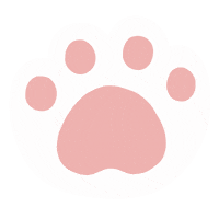 Cat Pink Sticker