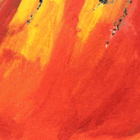 Blm GIF by Harriet Lenneman