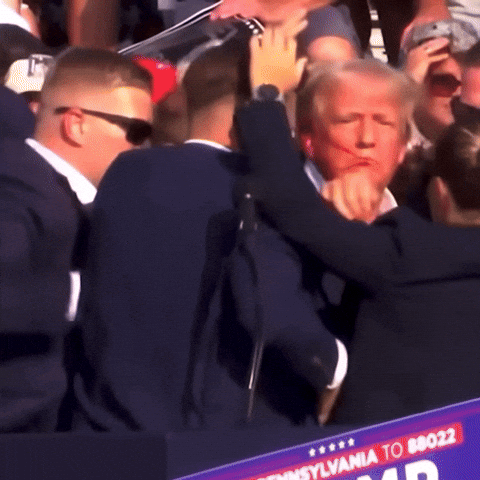 Fight On Donald Trump GIF by TruRebels Distro