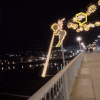 Christmas Wow GIF by Linz News