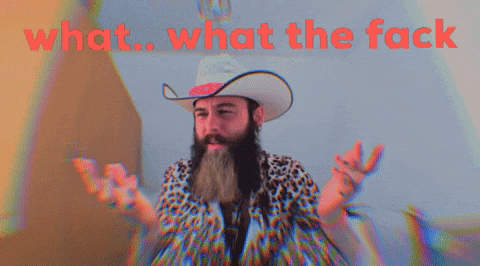 Fun What GIF