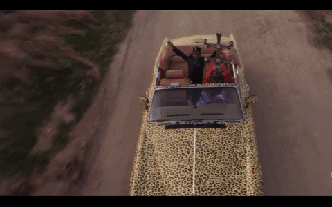 Beyonce Africa GIF by CRWNMAG