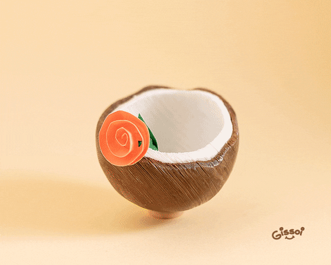 gissoi giphyupload flowers photography spring GIF