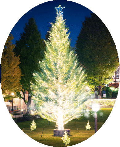 MEIJIGAKUINUNIVERSITY giphyupload christmas christmastree クリスマス Sticker