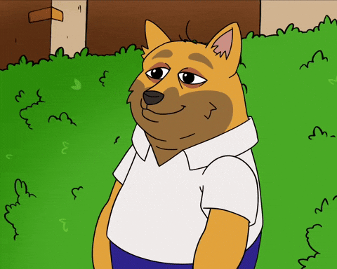 Hide Disappear GIF by Doge Pound