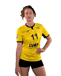USC_Muenster ball volleyball vbl usc Sticker